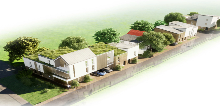 Image illustrant le projet Les Marguerites