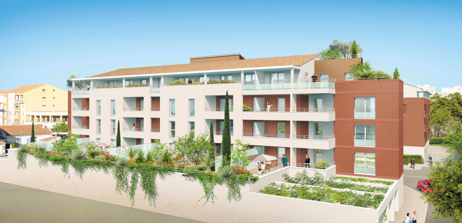 Image du projet Paradis M