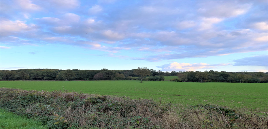 Image illustrant le projet Les Clos Vendéens