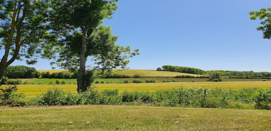 Image illustrant le projet Bernerie & Clos des Oliviers