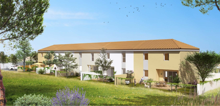 Image illustrant le projet Le Syrah